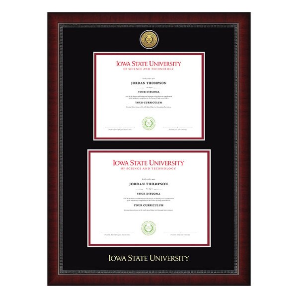 Church Hill Classics Sutton Gold Medallion Bachelor's and Master's Degree Diploma Frame #14